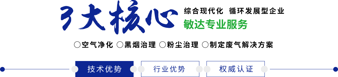 男人爆操女人小穴敏达环保科技（嘉兴）有限公司